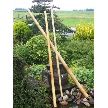 Bamboepalen 240 4-5 cm