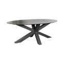 Atlanta Tafel Ovaal 200x100 cm