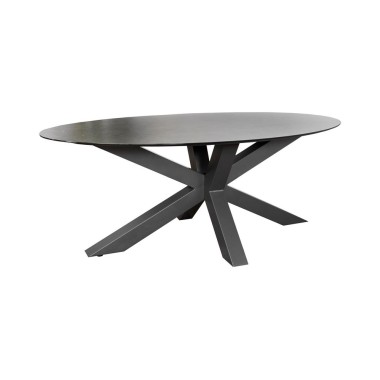 Atlanta Tafel Ovaal 200x100 cm