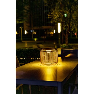 Fleur Solar Lamp 28 cm