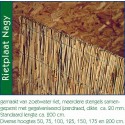 Rietplaat Nagy 125x200 cm