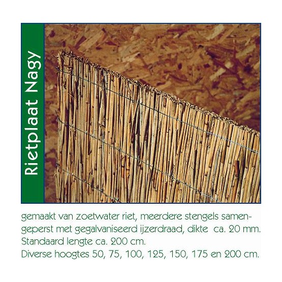 Rietplaat Nagy 125x200 cm