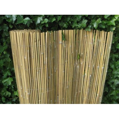 balans Direct Kaal Gespleten bamboemat Coupé 150x500 cm