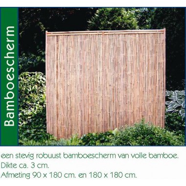 Bamboescherm - recht 90 x 180